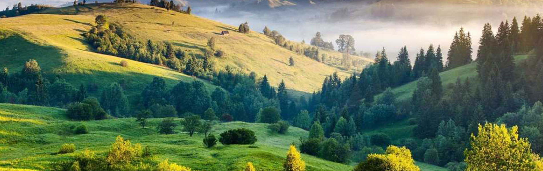 Enchanting Allure of South India