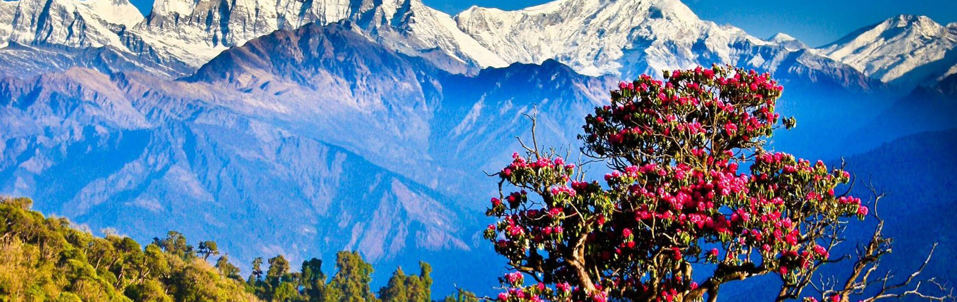 Nepal Kathmandu 7N-8D Package