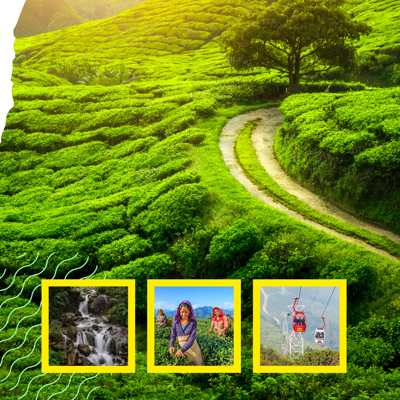 DARJEELING-2N-3D-DELUXE-PACKAGE